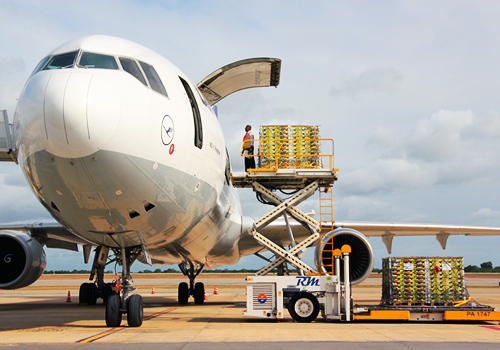 Air Freight Services